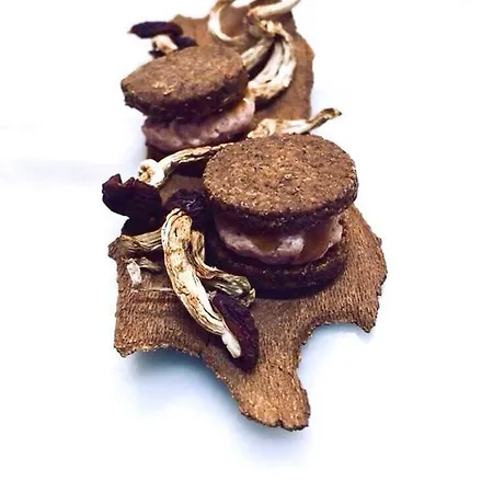 La Bianca Bed and breakfast Camaiore