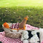 Bed and breakfast La Bianca